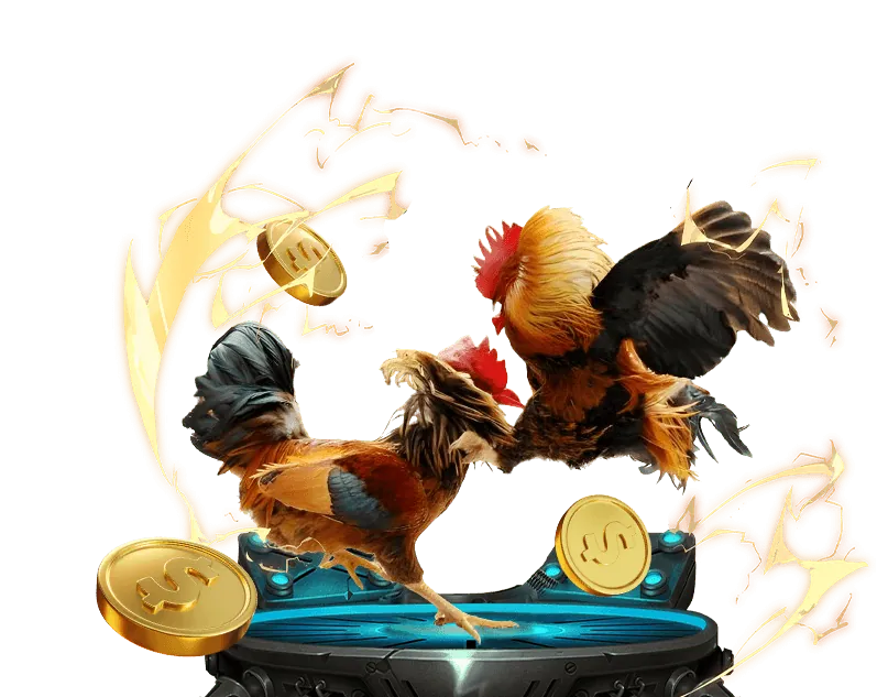 Giao diện đặt cược đá gà yy88 win